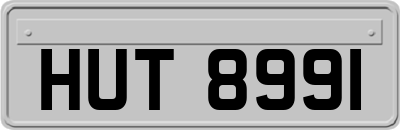 HUT8991