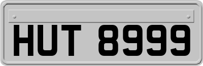 HUT8999