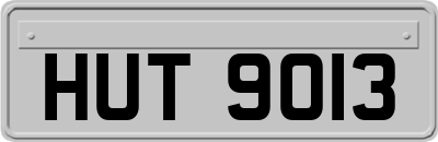 HUT9013