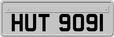 HUT9091