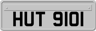 HUT9101