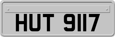 HUT9117