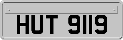 HUT9119