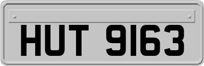 HUT9163