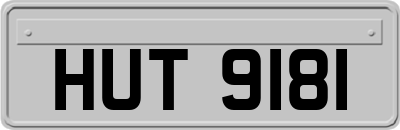 HUT9181