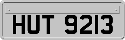 HUT9213