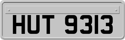 HUT9313