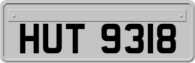 HUT9318