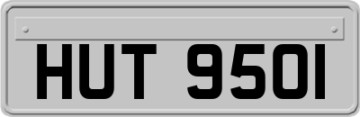 HUT9501