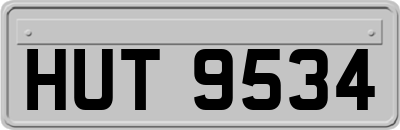 HUT9534