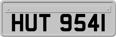 HUT9541