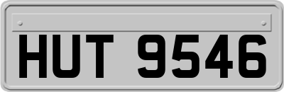 HUT9546