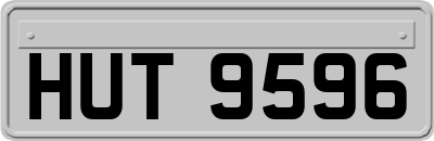 HUT9596