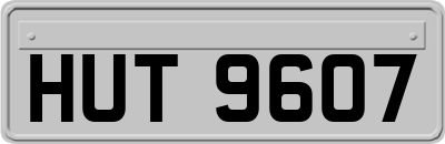 HUT9607