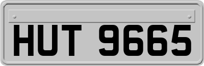 HUT9665