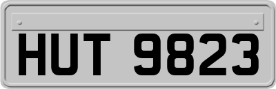 HUT9823