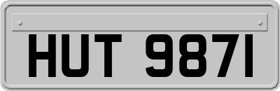 HUT9871