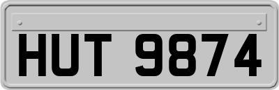 HUT9874