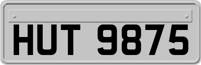 HUT9875