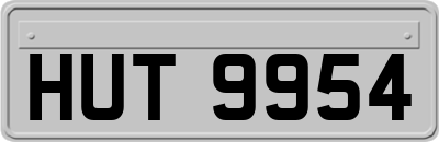 HUT9954