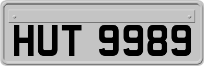 HUT9989