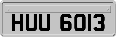 HUU6013