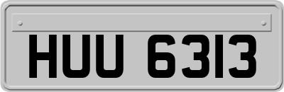 HUU6313