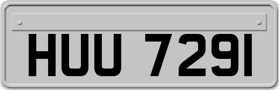 HUU7291