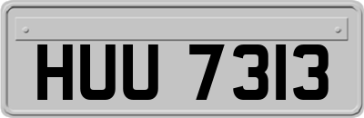 HUU7313