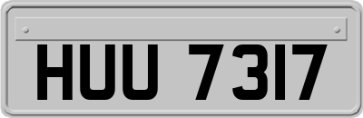 HUU7317