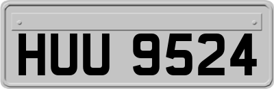 HUU9524