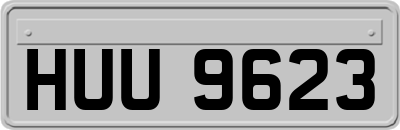 HUU9623