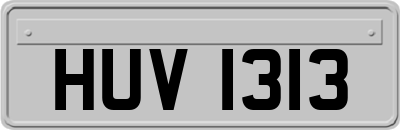 HUV1313