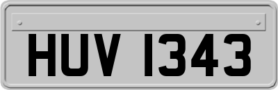 HUV1343