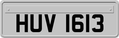 HUV1613