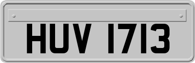 HUV1713