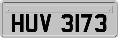 HUV3173