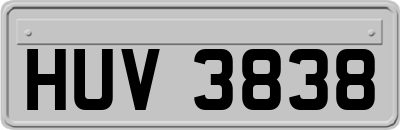 HUV3838