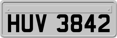 HUV3842