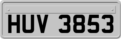 HUV3853