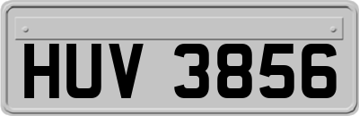 HUV3856