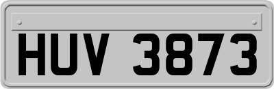 HUV3873