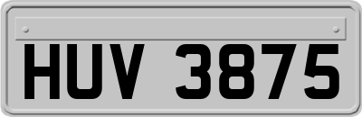 HUV3875