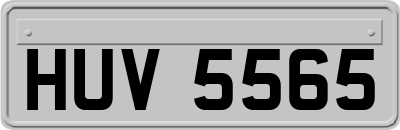 HUV5565