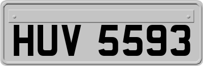 HUV5593