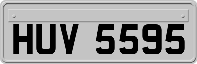 HUV5595