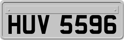 HUV5596