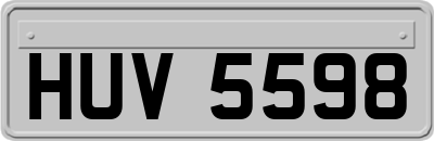 HUV5598