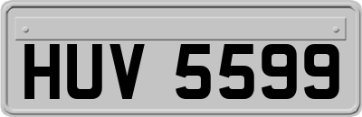 HUV5599