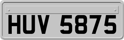 HUV5875